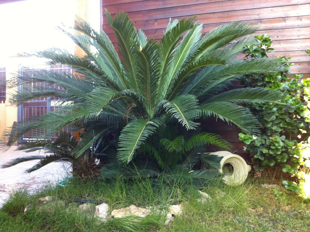 Villa Rosa Porto Empedocle Rom bilde